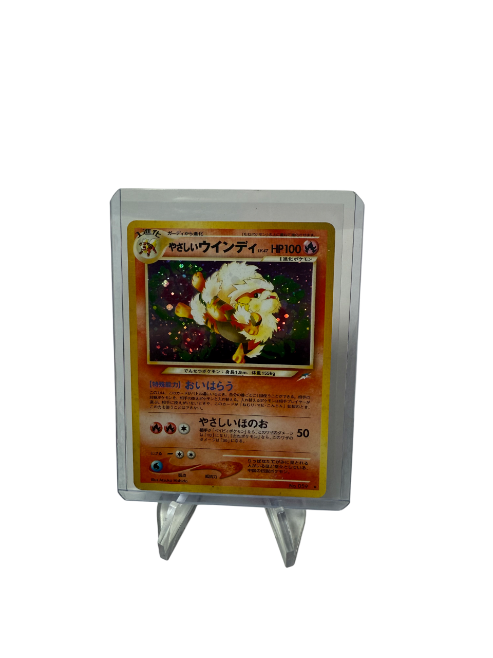Light Arcanine (N4)